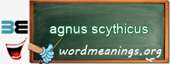 WordMeaning blackboard for agnus scythicus